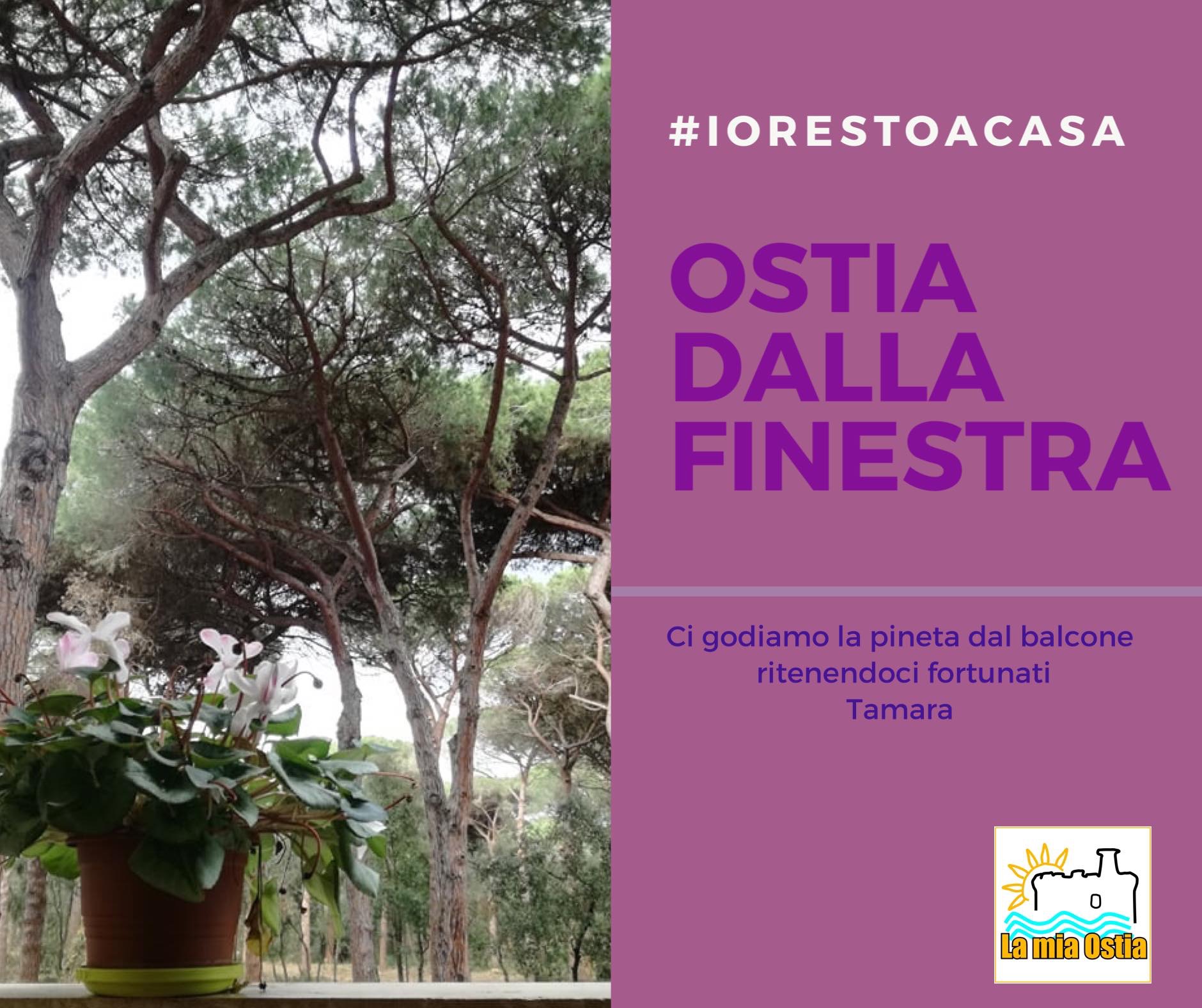 Ostia dalla finestra: mese di marzo